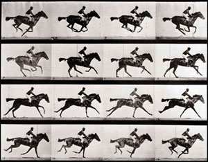 Eadweard Muybridge Galloping Horse