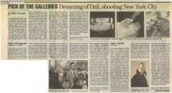 Pick of the Galleries Dreaming of Dali shooting New York City